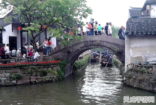 江南百景图深度攻略，揭秘快速升级秘籍，尽赏江南水乡风光