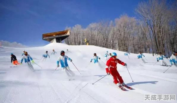 极限滑雪精神续作开发夭折，滑雪爱好者心碎瞬间揭秘