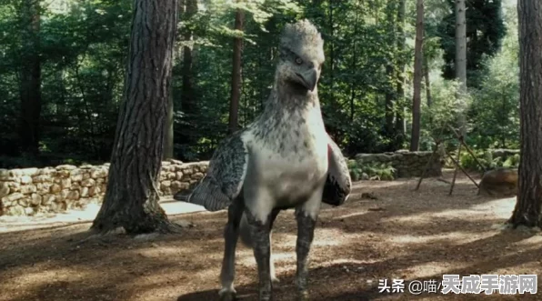 哈利波特魔法觉醒，海格小屋鹰头马身有翼兽全方位保护策略