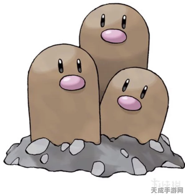 宝可梦剑盾，地鼠大搜集，稀有宝可梦属性全揭秘！