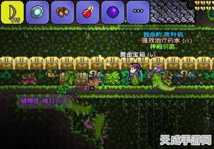 泰拉瑞亚探秘，解锁大自然的恩赐的奇妙用途与深度玩法