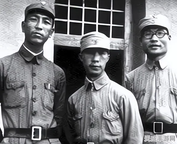 和平精英深度洞察，揭秘玩家抱怨背后的心理动机与战场策略