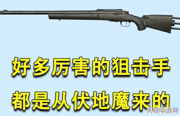 暗区突围，揭秘顶级赛事中的终极狙击利器——天价狙击枪风采