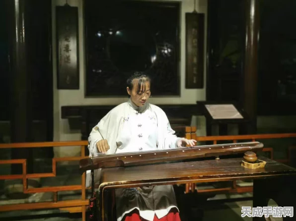 烟雨江湖，探寻湖畔琴音，揭秘琴师神秘踪迹