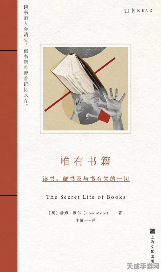 饥荒海难DLC，沙袋使用全攻略，打造你的海上避难所！