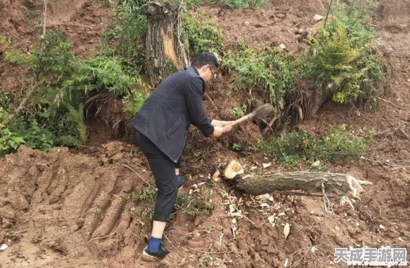 原木粉碎大师，卡牌对战新体验，策略与趣味并存的冒险之旅
