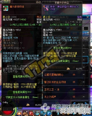 DNF深度解析，揭秘黄字与白字伤害的奥秘