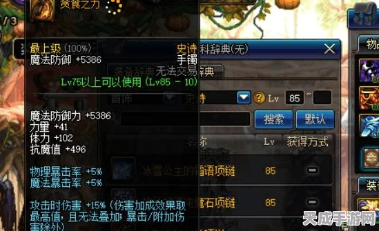 DNF深度解析，揭秘黄字与白字伤害的奥秘