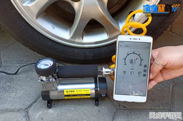 梦幻西游深度解析，69级龙鲤速度需求大揭秘，助你竞技场称雄！