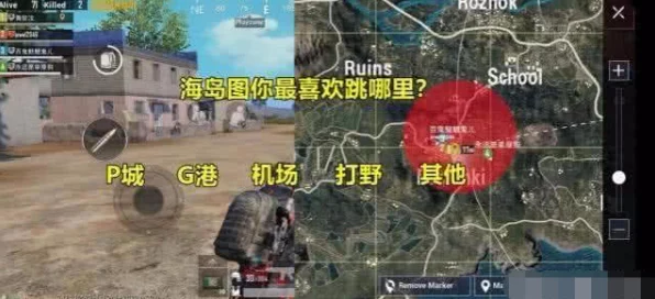 和平精英视觉盛宴，海量吃鸡照片曝光，解锁战场新视角！