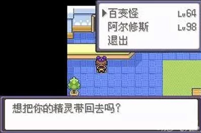 口袋妖怪漆黑魅影，全面揭秘高效孵蛋技巧与最新动态