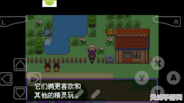 口袋妖怪漆黑魅影，全面揭秘高效孵蛋技巧与最新动态
