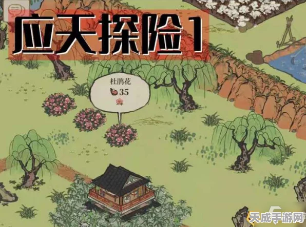 江南百景图深度攻略，揭秘高效生姜采集技巧与最新活动资讯