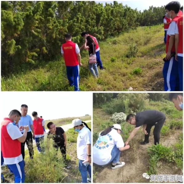 灵魂潮汐顶尖阵容搭配策略，解锁高效战斗新纪元