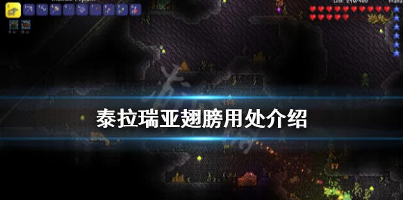 泰拉瑞亚探险大赛，鞋钉与攀爬爪成制胜法宝