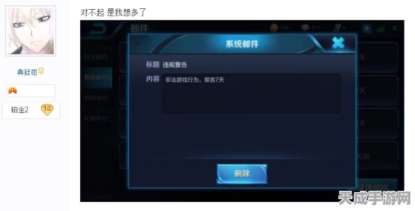 王者荣耀精准禁言功能全解析，打造文明游戏环境，告别骚扰言论