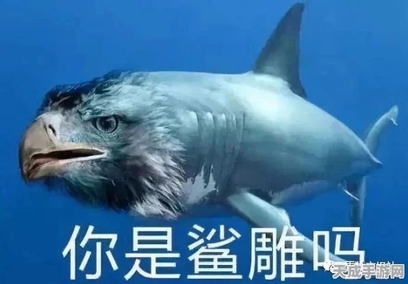 鹅鸭杀表情包大赛来袭！解锁游戏新乐趣，海量趣味表情包等你来拿！