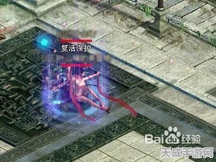 次神光之觉醒，深度解析坐骑守护属性选择，打造无敌战斗伙伴！