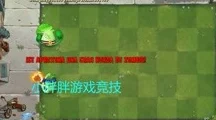 植物大战僵尸2双人宗师赛，默契配合，制胜攻略大揭秘