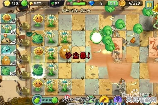 植物大战僵尸2双人宗师赛，默契配合，制胜攻略大揭秘