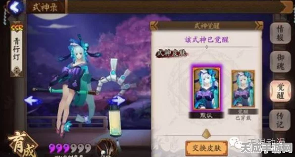 阴阳师顶尖攻略，姑获鸟全方位养成指南，解锁极致战斗力！