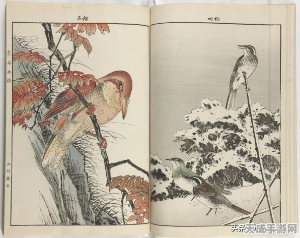 阴阳师新角色揭秘，绘世花鸟卷技能全解析及最新动态