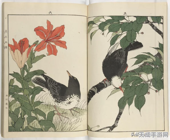 阴阳师新角色揭秘，绘世花鸟卷技能全解析及最新动态