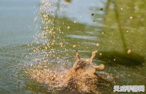 欢乐钓鱼大师，新手必备！金鱼竿精选推荐及赛事攻略