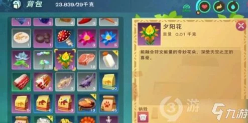 天空鳐饲料制作全揭秘，创造与魔法新冒险启程指南