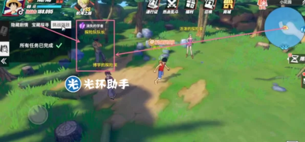航海王热血航线深度探索，小花园湖北面任务全攻略，揭秘隐藏宝藏与战斗技巧