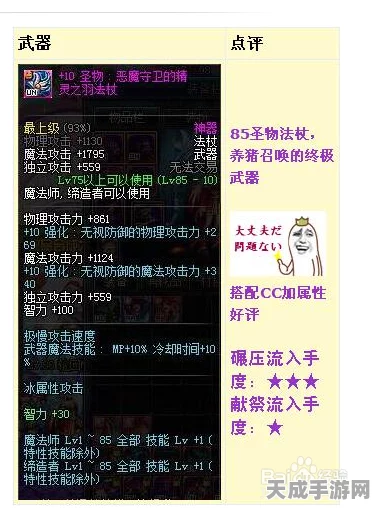 DNF召唤师武器选择指南，解锁战斗新境界