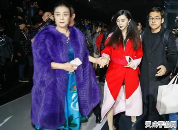 口袋妖怪红宝石，揭秘遗传系统的奥秘与策略