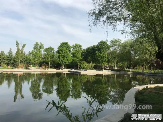 王者荣耀新区热潮，揭秘玩家最爱新区TOP榜及赛事细节