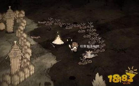 饥荒联机版深度揭秘，暗影密典的终极奥秘与实战应用