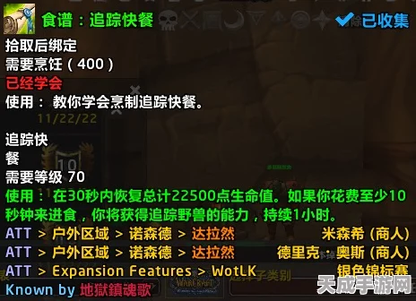 魔兽世界WLK怀旧服，揭秘灯塔手套属性，打造极致战斗体验！