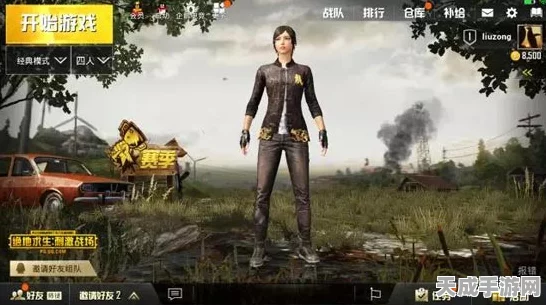 心灵杀手，迷雾战场生存指南，揭秘顶尖玩家的制胜策略