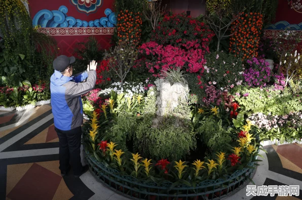 QQ飞车手游，鼠年A车神风玉堂改装全攻略，赛道称霸不是梦！