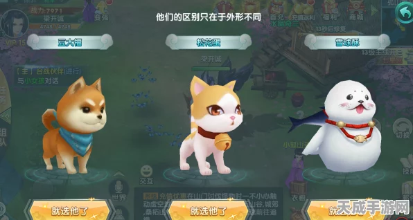 宠物收藏家，热门角色扮演手游，萌宠养成大赛即将开启！
