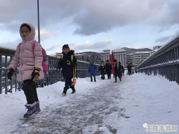使命召唤雪王装扮揭秘，跨界联动背后的游戏新风尚