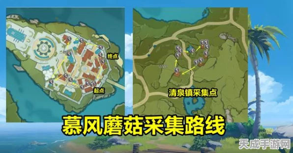 原神慕风蘑菇采集攻略，揭秘高效采集路线，赢取稀有资源大赛！