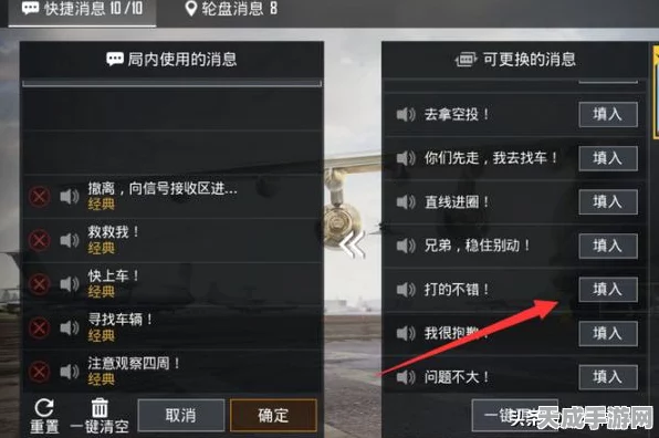 和平精英求救语音救救我设置指南，提升团队协作效率的关键一步
