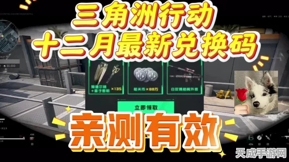 三角洲行动，揭秘兑换码获取与兑换全攻略，赢取珍稀道具！
