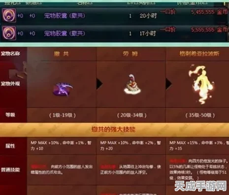 DNF宠物选择终极指南，外观与实用性双重考量，打造最强搭档