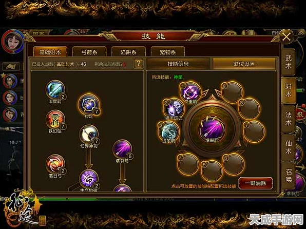 荣耀征途，黑色沙漠手游荣耀之路深度攻略与竞技细节揭秘