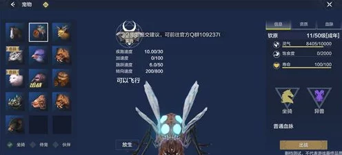 妄想山海，宠物与坐骑快速升级秘籍大公开