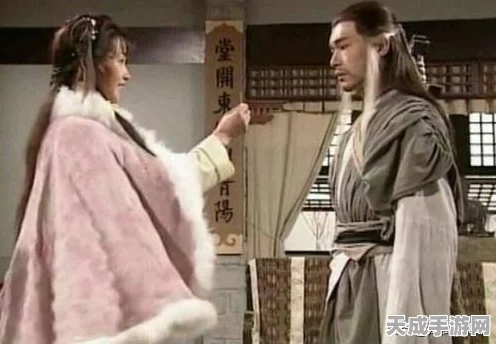 大掌门深度攻略，揭秘武功精髓，掌握资源管理高效秘籍