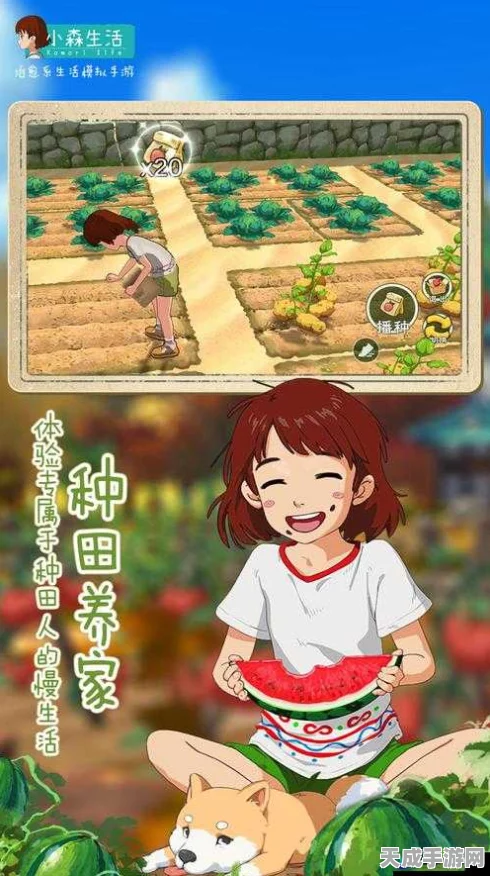 小森生活茄子获取秘籍，解锁田园烹饪新篇章