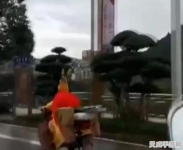 西游记之大圣归来手游，揭秘披风系统，解锁战斗新风尚