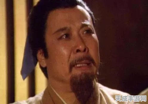 三国志·战略版结算揭秘，成就点数是否计入下期？深度解析与最新动态