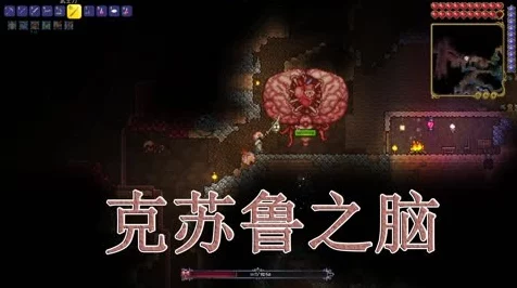 泰拉瑞亚深度攻略，揭秘克苏鲁之脑的致命弱点与通关秘籍
